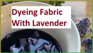 Dyeing Fabric With Lavender
