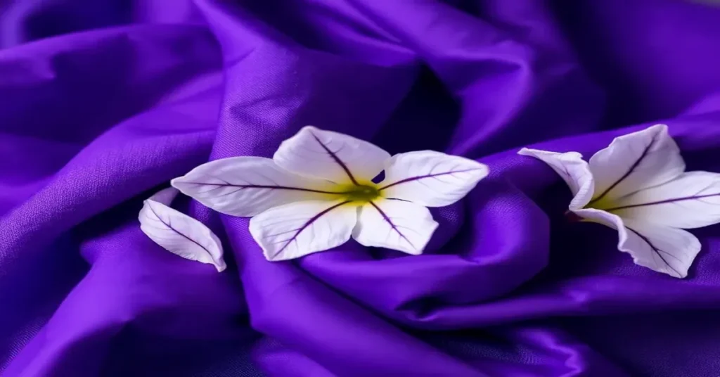 The 7 Best Belladonna Dyes of 2026