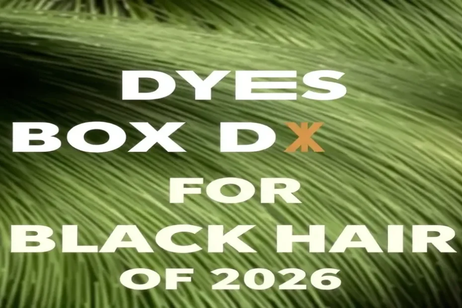 The 7 Best Box Dyes for Black Hair of 2026