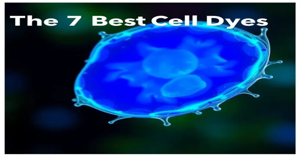 The 7 Best Cell Dyes of 2026