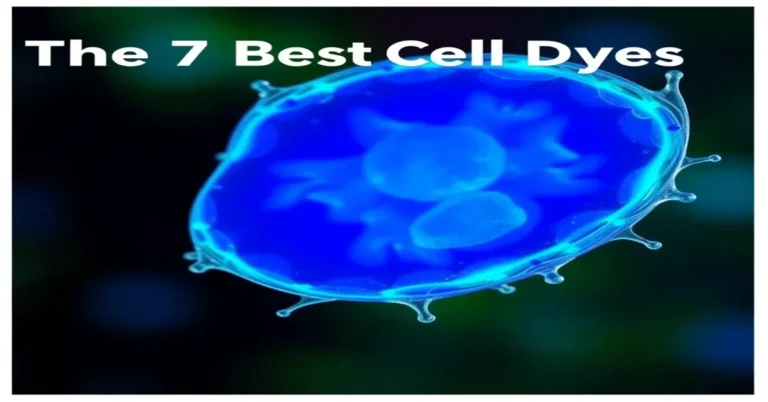 The 7 Best Cell Dyes of 2026