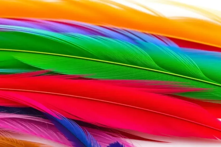 The 7 Best Dye Feathers of 2026