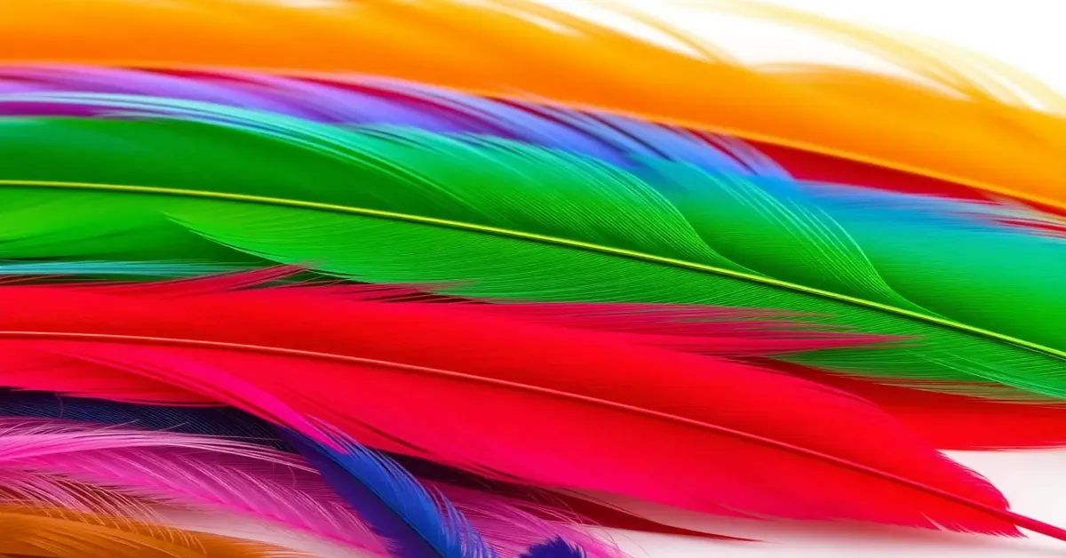 The 7 Best Dye Feathers of 2026