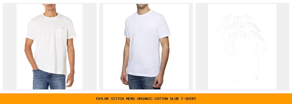 taylor stitch men's organic cotton slub t-shirt