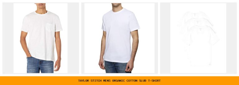 taylor stitch men's organic cotton slub t-shirt