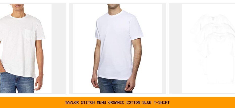 taylor stitch men's organic cotton slub t-shirt